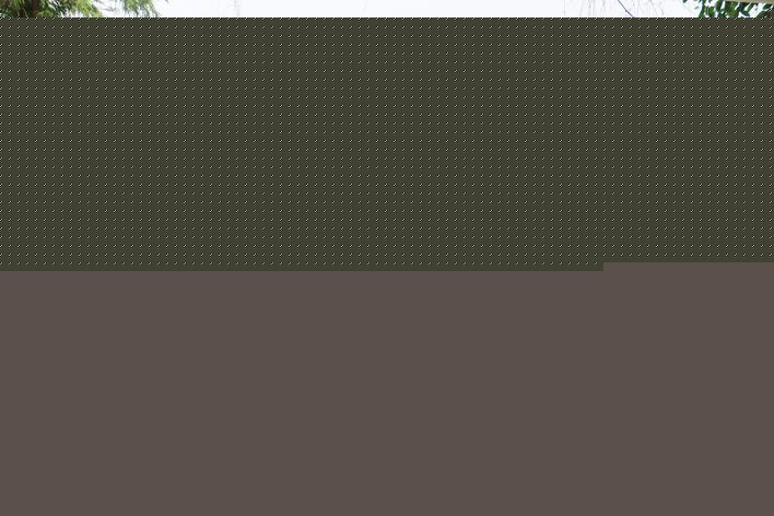 小站点如何撬动乡村大发展? ——解码恒合土家族乡融合发展破局之道