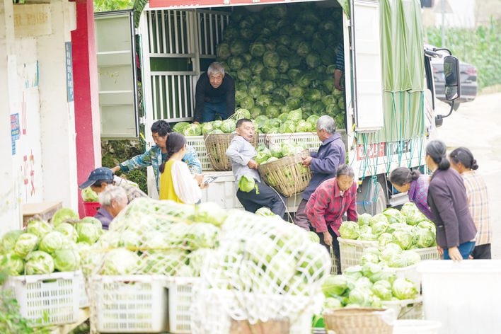 24小时24万斤!多方行动解农忧