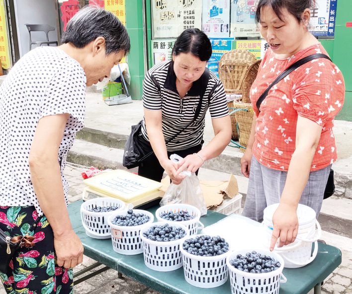 水果经济奏响 乡村振兴甜蜜乐章