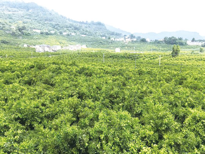 和美乡村里的幸福密码