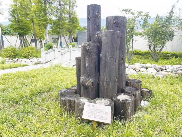 200余件活教材讲述生态法治故事