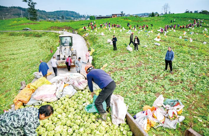 金融活水何以灌溉农业沃土?