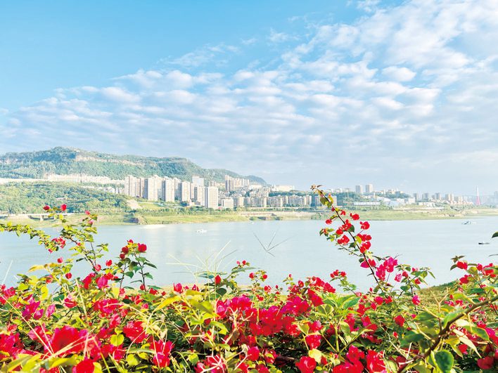 万州将打造渝东北首个“全龄友好+智慧生态”示范社区