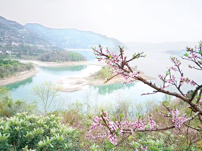  小渔村蝶变网红村 解码朝阳村的出圈密码
