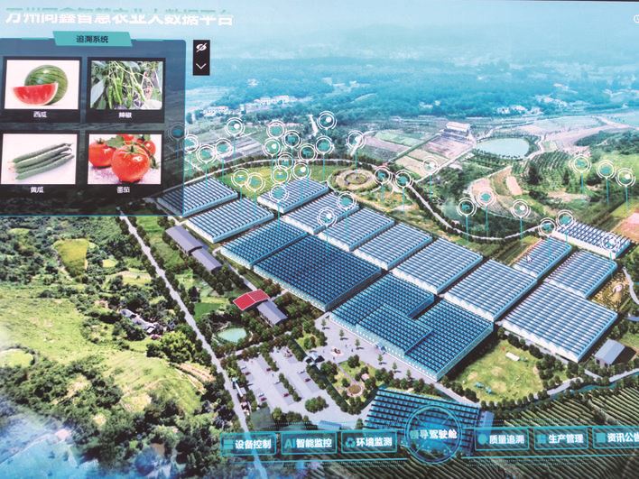 每年挂果40轮 背后的科技魔法