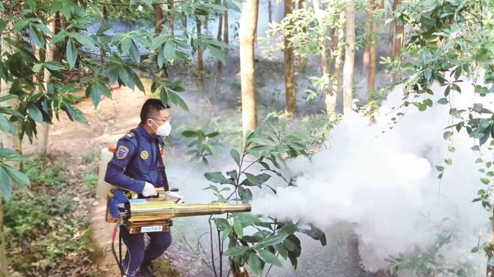  防蚊灭蚊 守护健康