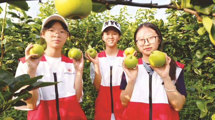 长岭镇 果园闪耀“志愿红”