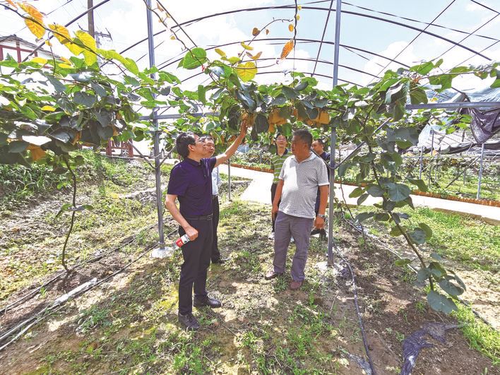  科技“甘霖”润山乡一千七百余名科技特派员“把脉开方”助振兴