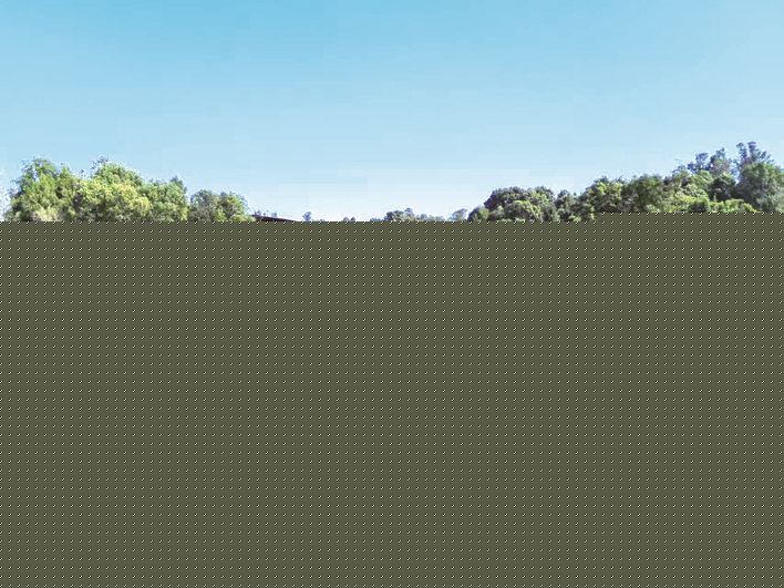 高标准农田绘就农业发展新“丰”景