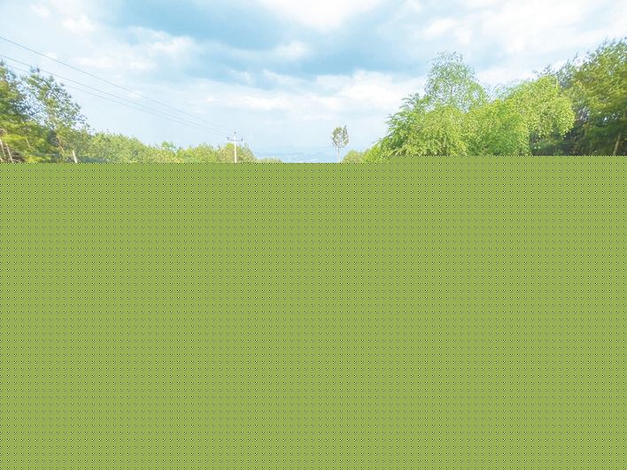  培育农业经营新主体 点燃乡村振兴新引擎