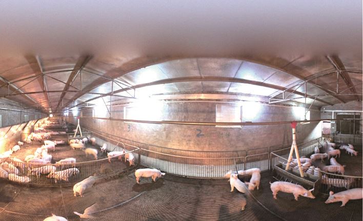  AI赋能!现代畜牧业向智发力