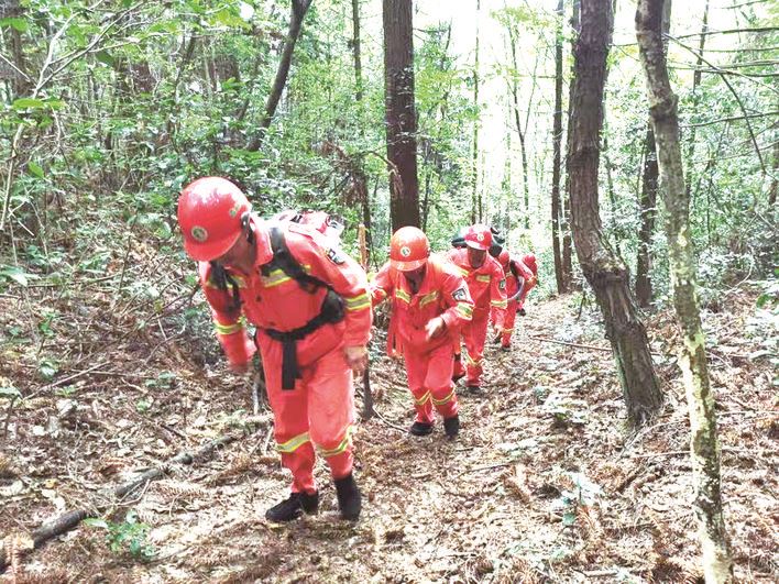  天空+地面 线上+线下 人防+技防  区林业局多管齐下筑牢森林防火墙