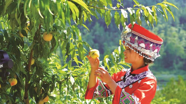  大山里的“流量密码”