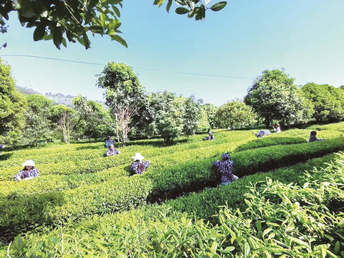 万州：沃野谱新章 山乡绘新卷