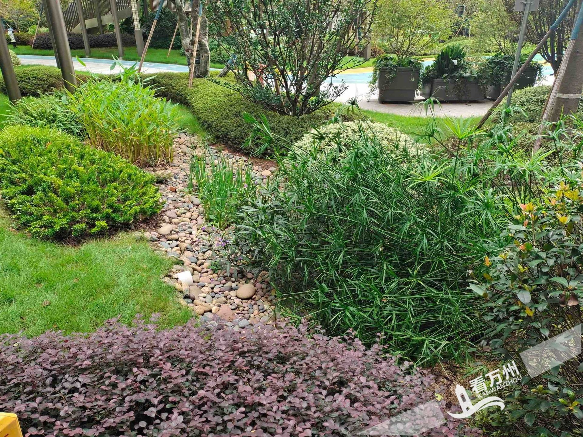  以人民为笔  绘幸福之城——“十四五”以来万州大力推动城市高质量发展综述 