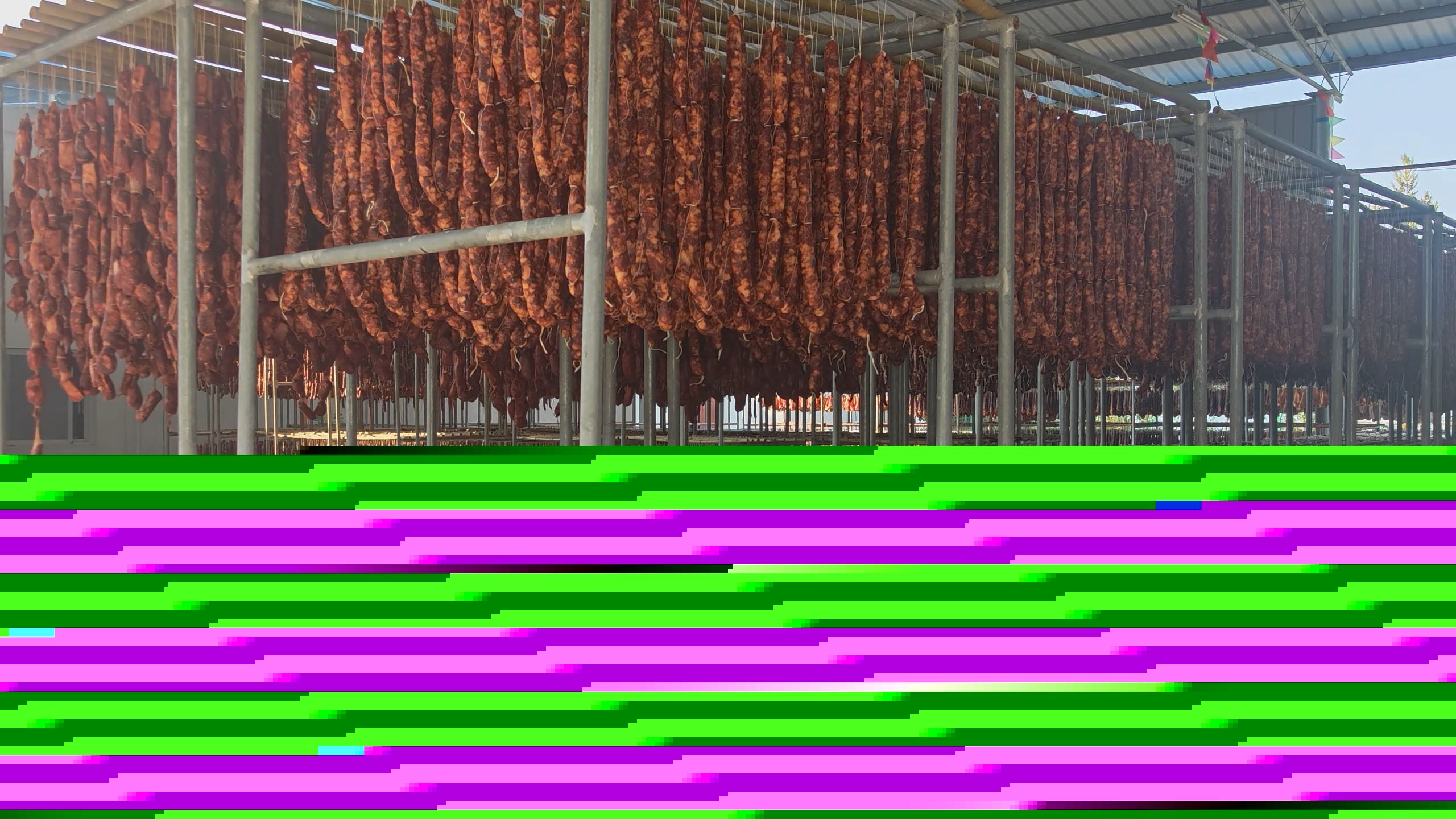 两江新区龙兴镇商会一行来万开展交流合作