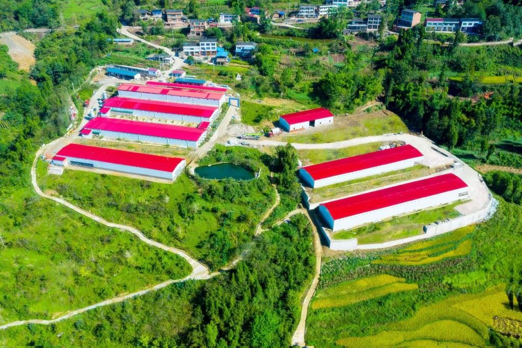 聚焦基层治理与乡村振兴中的难点痛点 万州全域推进清廉村居建设