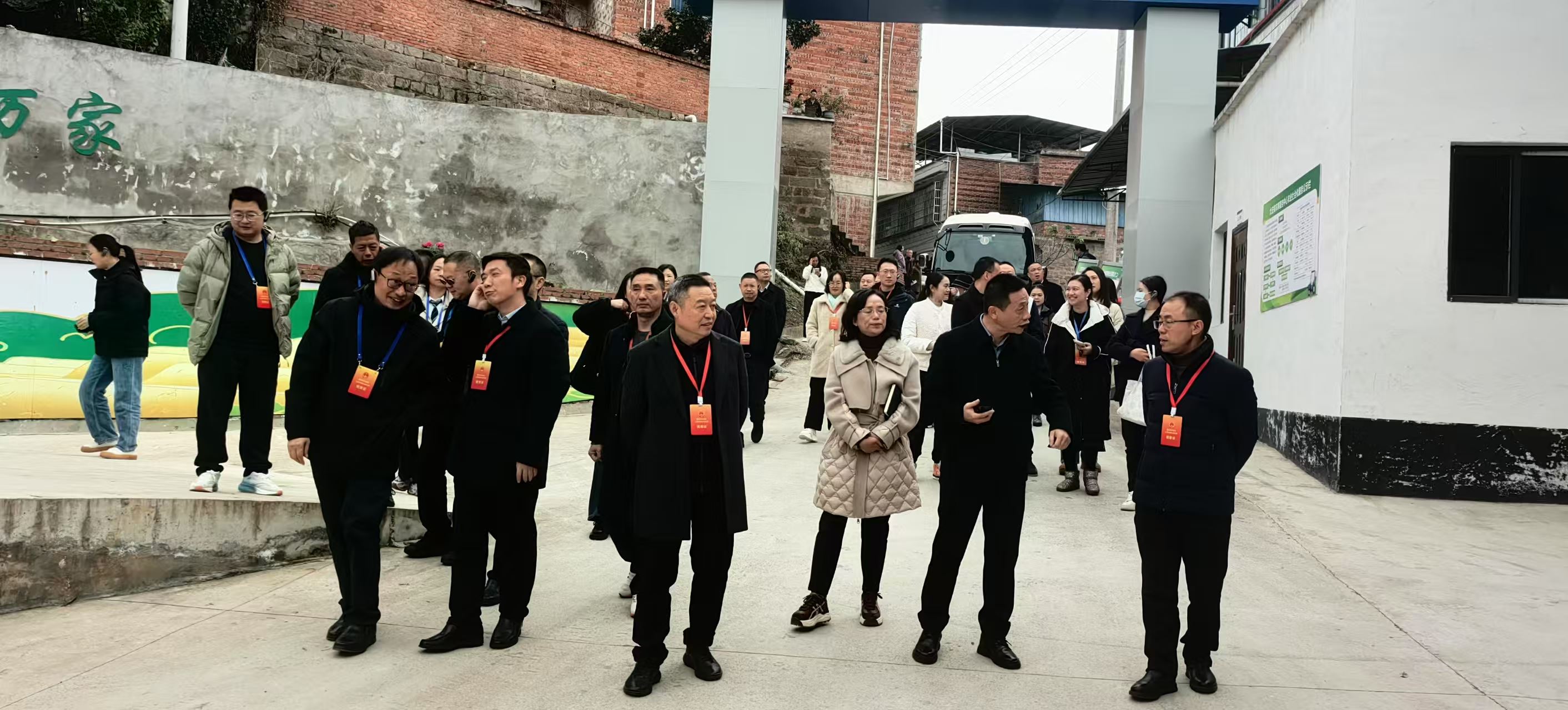  区六届人大代表第三联组到太安镇开展乡村振兴专题视察调研