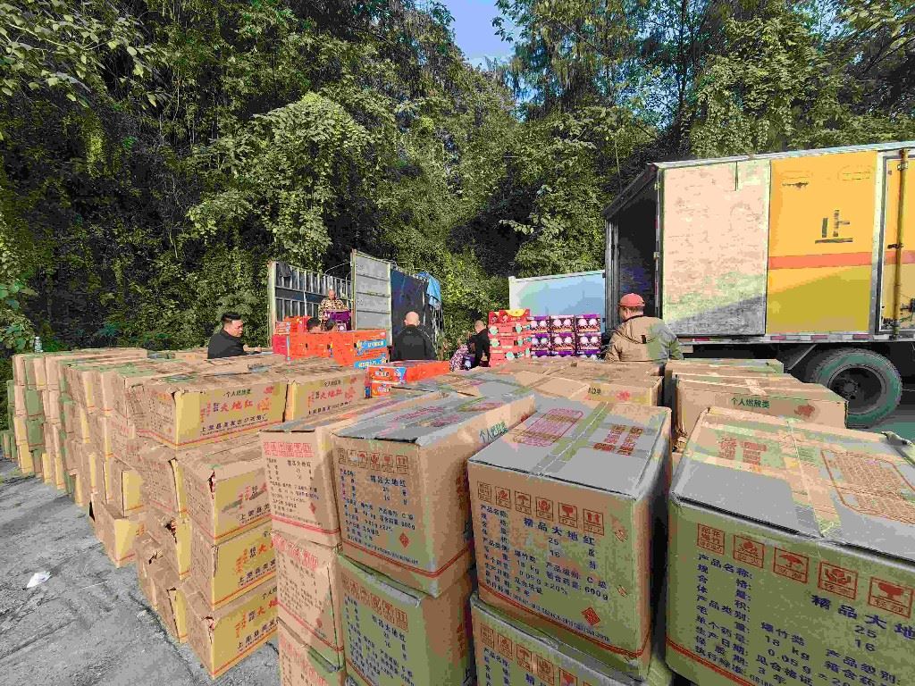群众举报立功劳 万州查获涉嫌非法运输烟花爆竹442件