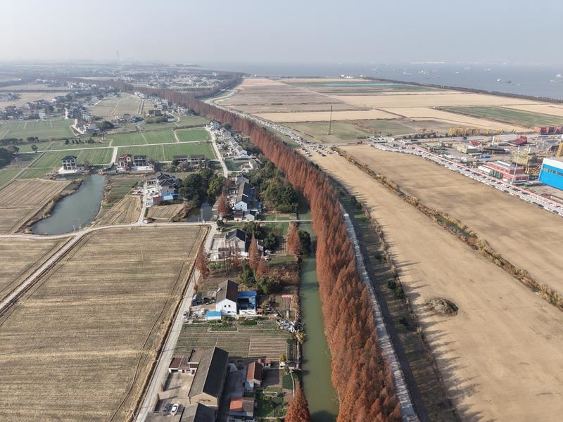  千亩林场蕴生机一江碧水润新海