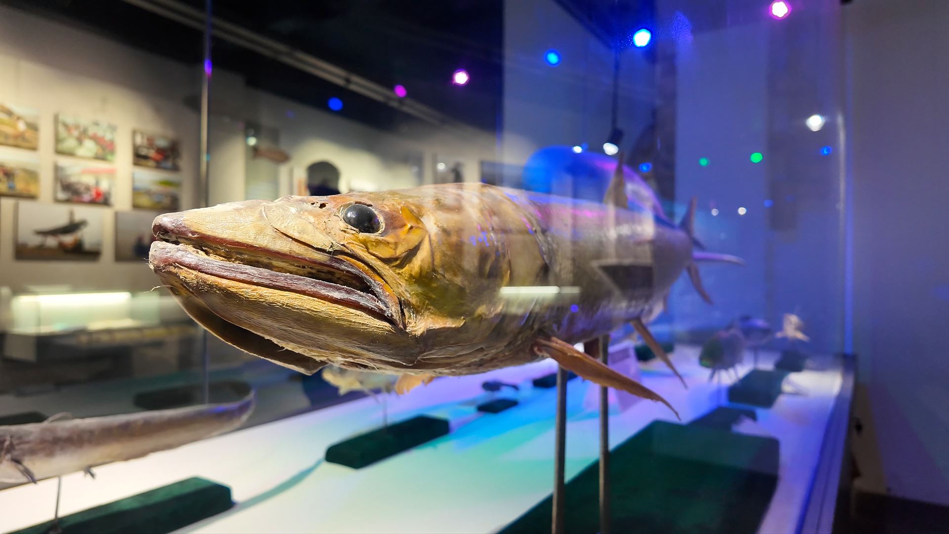  新金江社区  从渔舟唱晚到诗韵江岸展新卷