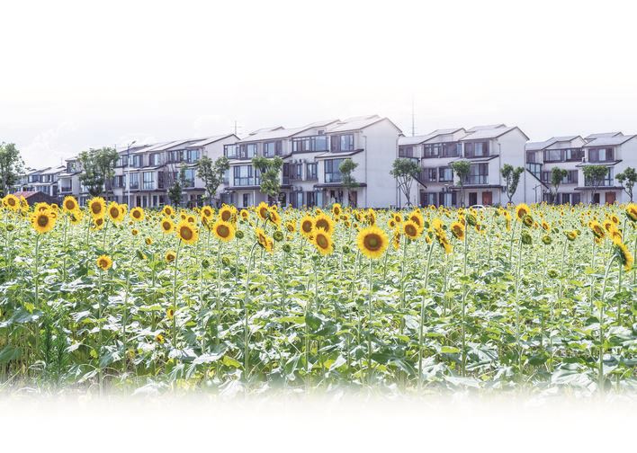 “美丽经济”绽放 生态致富路飘香