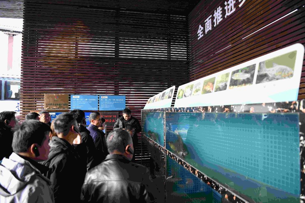  培训赋能强监管 渔业硕果绽峡江 2025水产品质量安全交流活动在万州举行