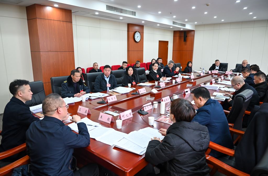 区人大代表分团审议区人大常委会和法检“两院”工作报告