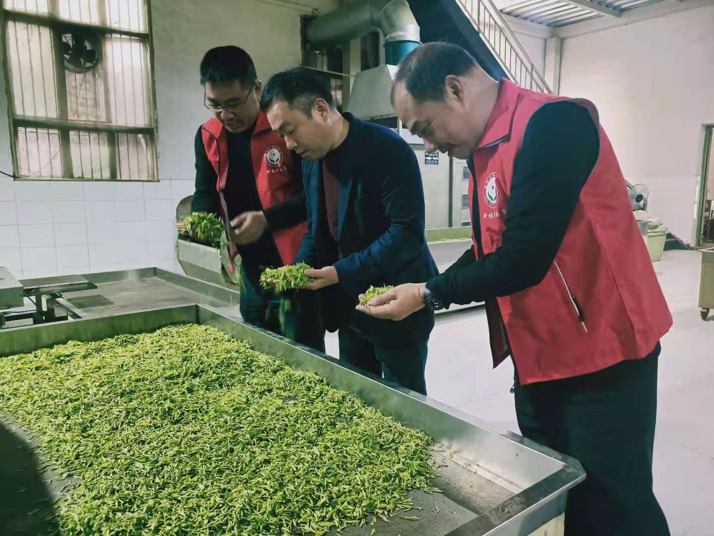 送“技”于田 送“富”于民 1800余名科技派员为乡村振兴注入“科技活水”