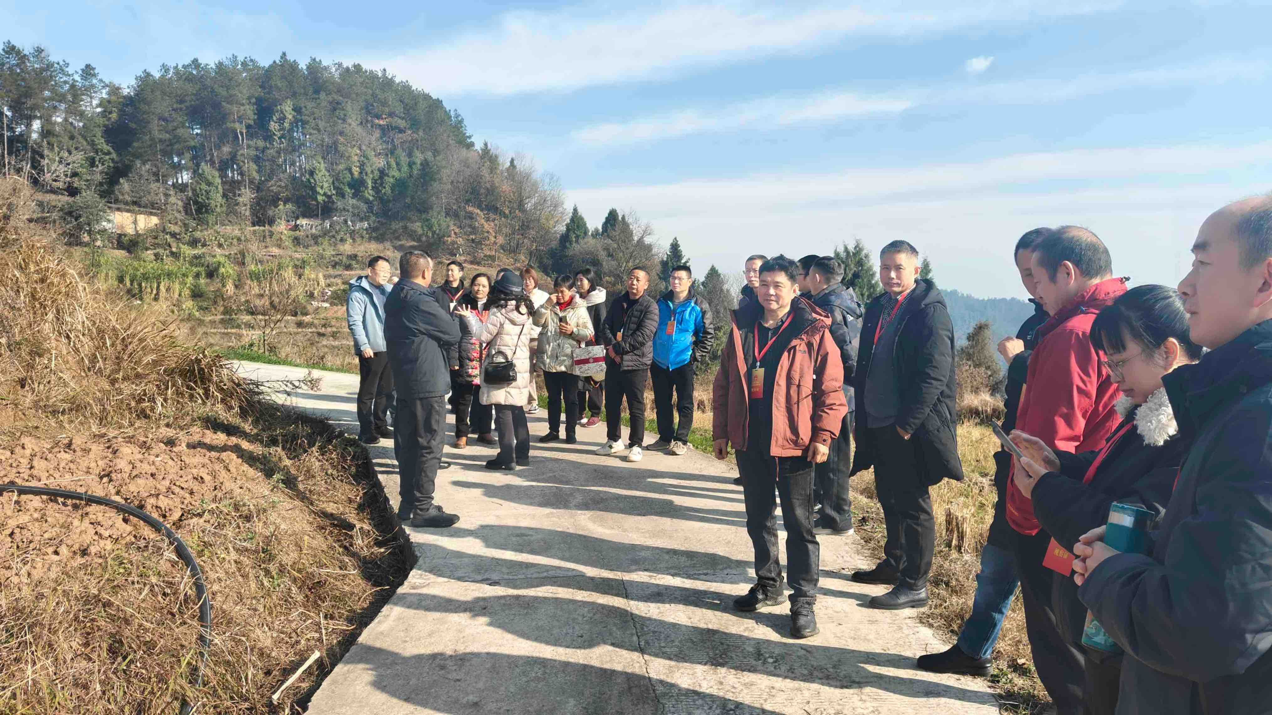  心头装着民生烟火 脚步丈量振兴之路五桥街道人大工委组织人大代表开展乡村振兴专题视察调研
