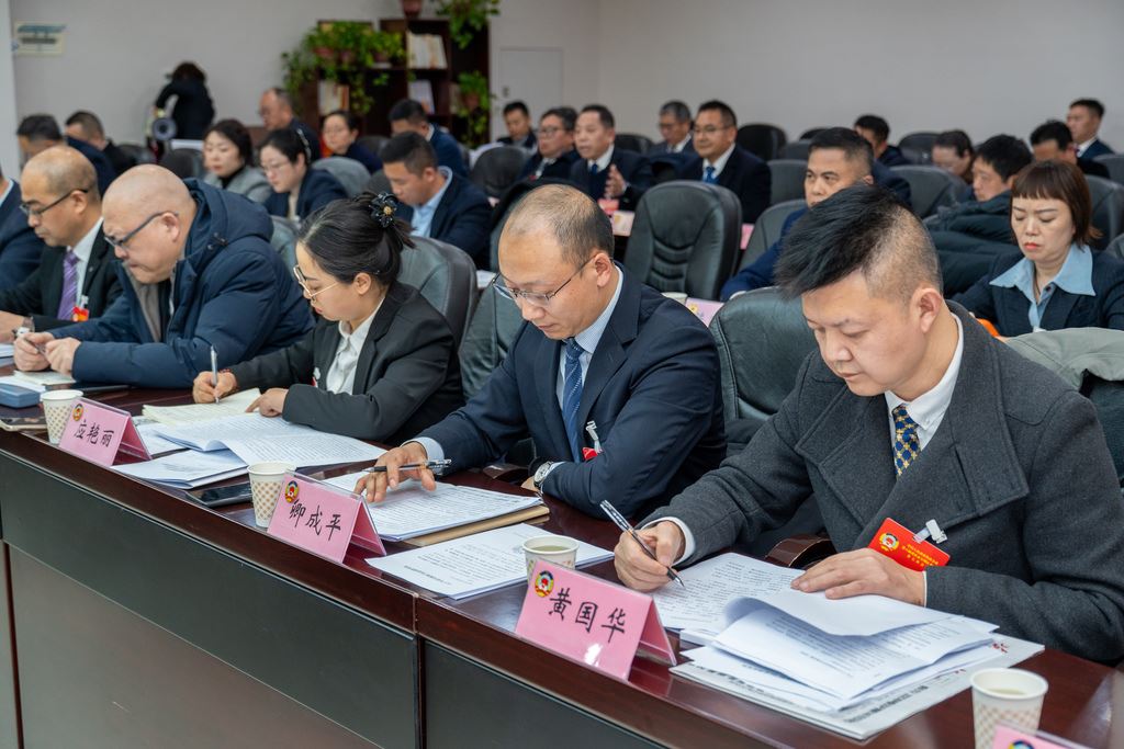 区政协委员分组审议区政协常委会工作报告、提案工作情况报告凝心聚力谋发展 履职尽责显担当