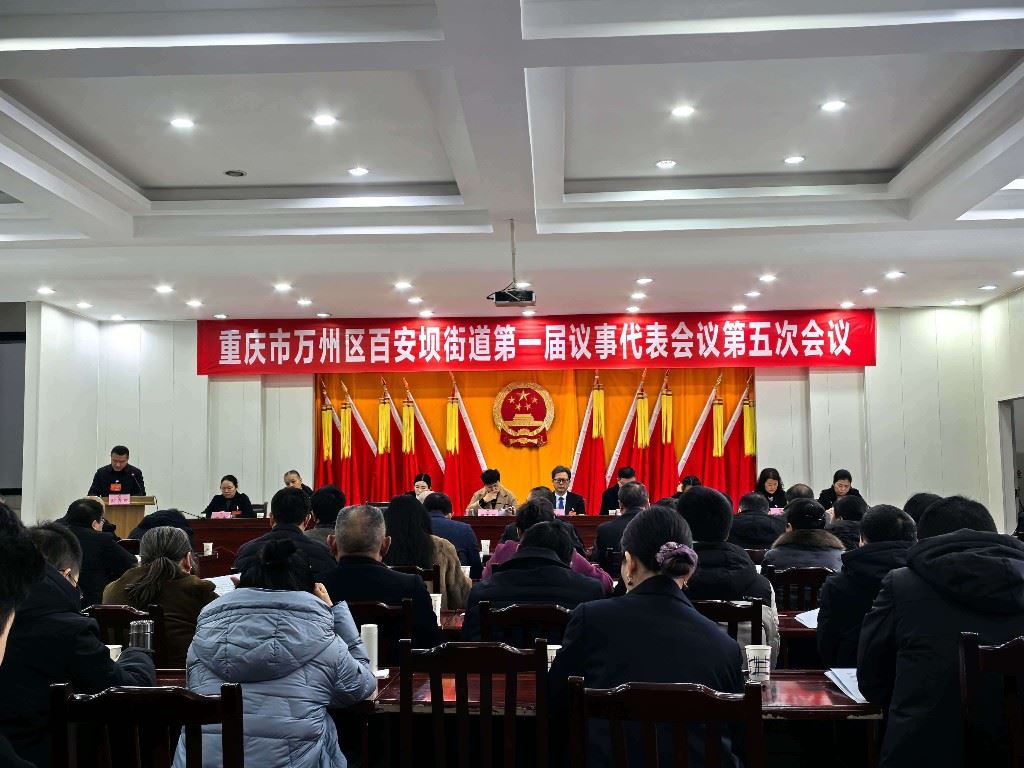  百安坝街道召开第一届议事代表会议第五次会议