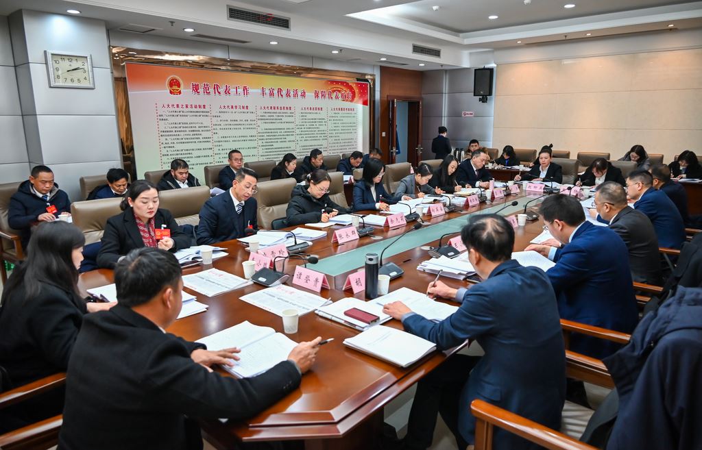 区人大代表分团审议区政府工作报告 踊跃建言献策 共绘发展蓝图