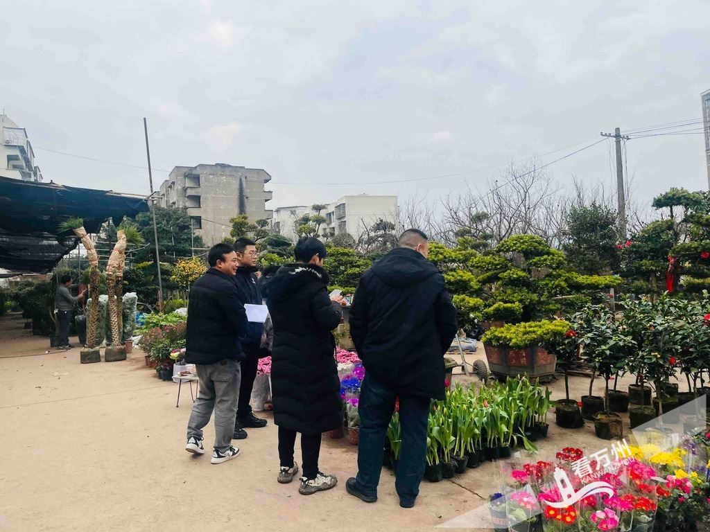  经济观察丨“花漾”年味里的经济密码  “仪式感消费”激活市场 “美丽产业”赋能民生