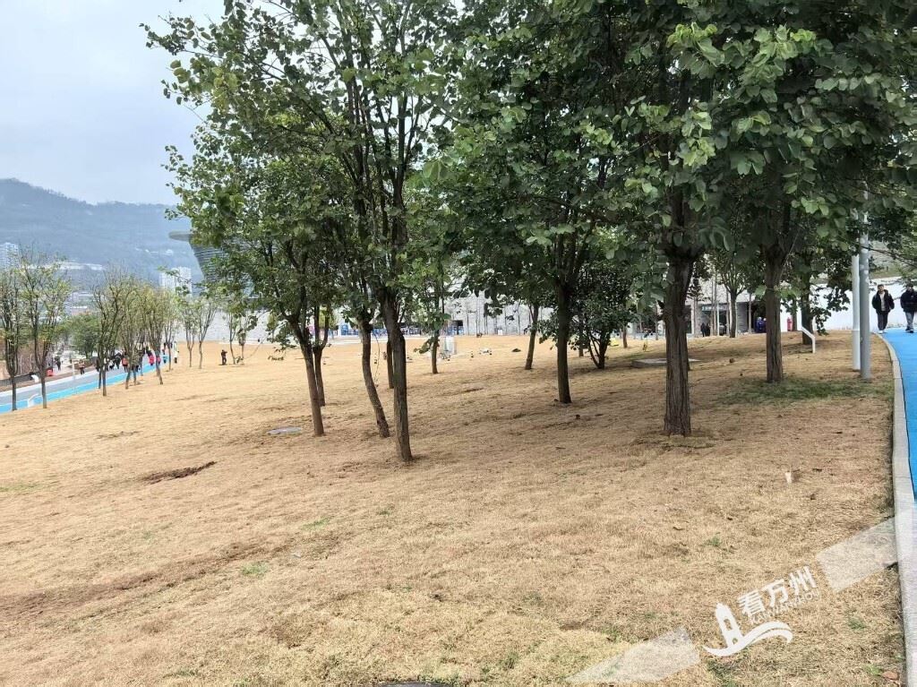  办好了丨望江公园能否开放露营？官方回复来了