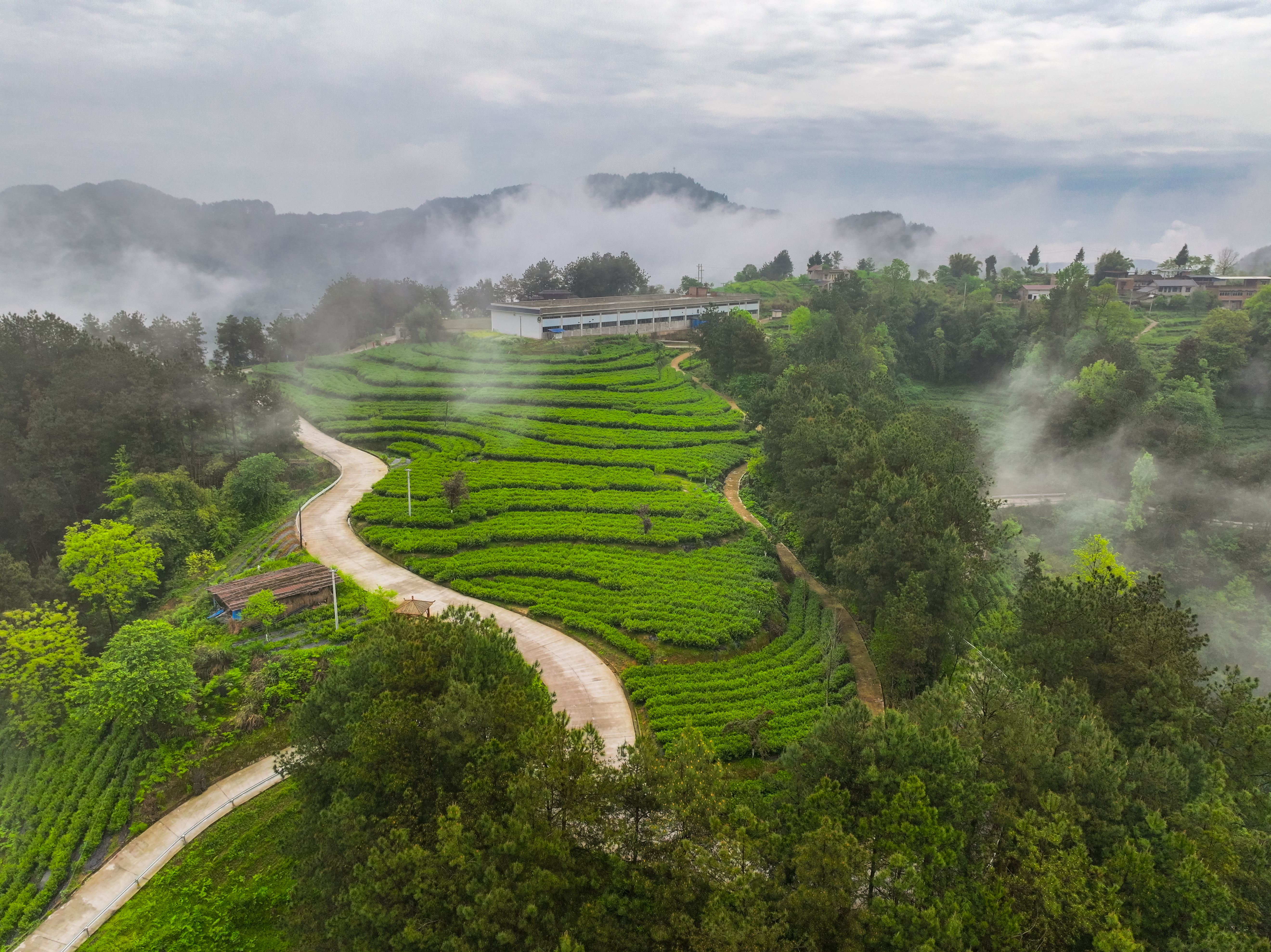  经济观察 | 兴村富民 共筑美好家园 万州区工商联“万企兴万村”行动五年纪实