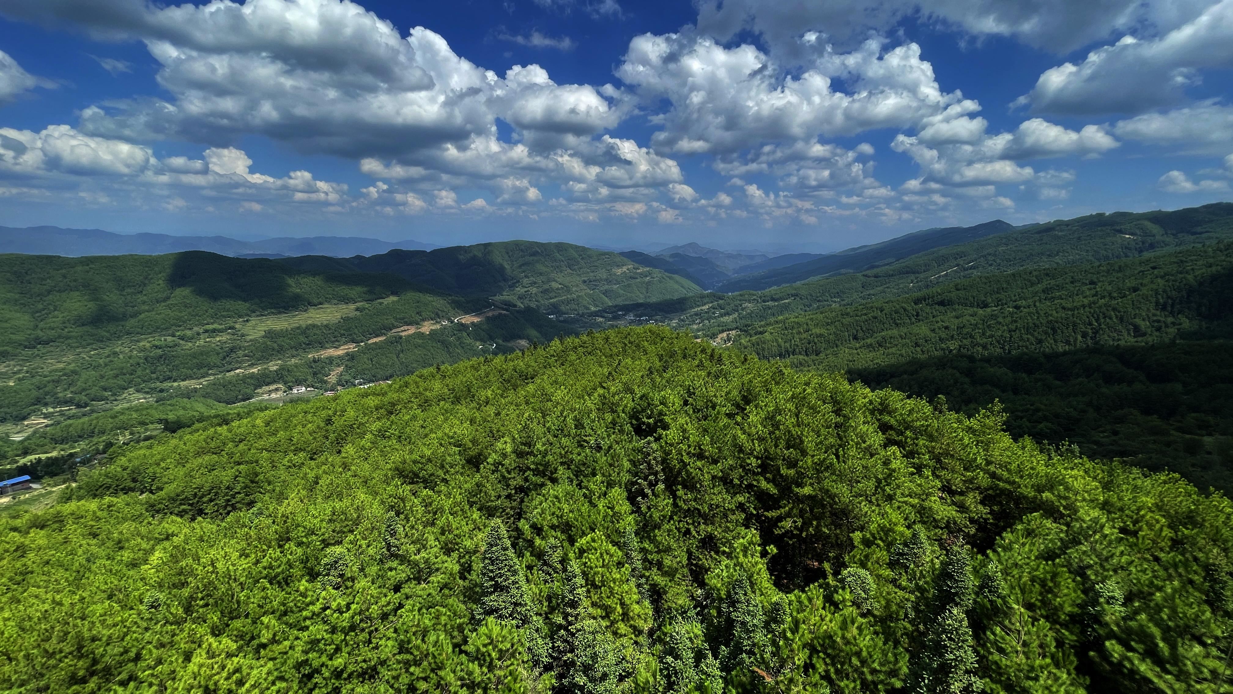  秀美万州：生态起笔处，春风拂来千山绿