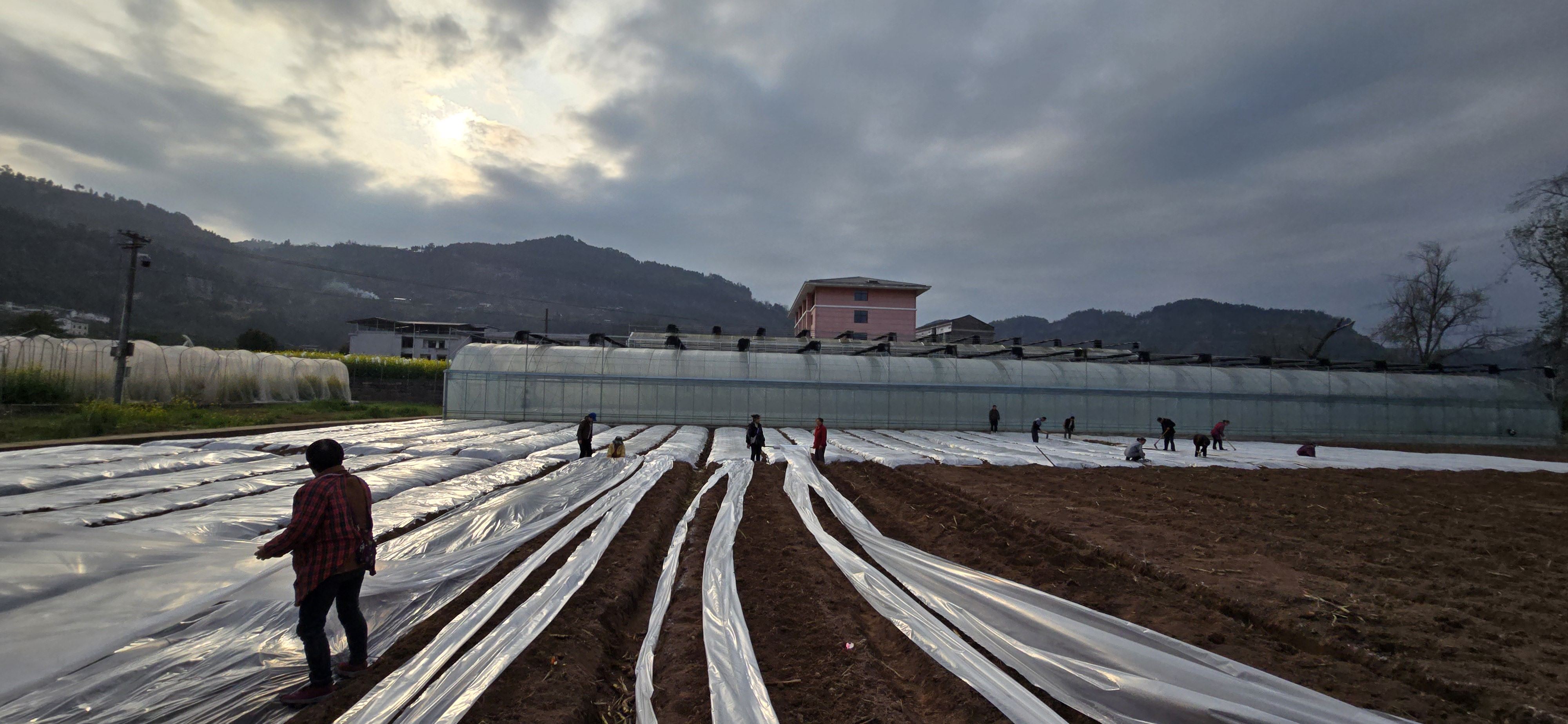  春满平湖耕种忙  ——2026年万州春耕生产现场纪实