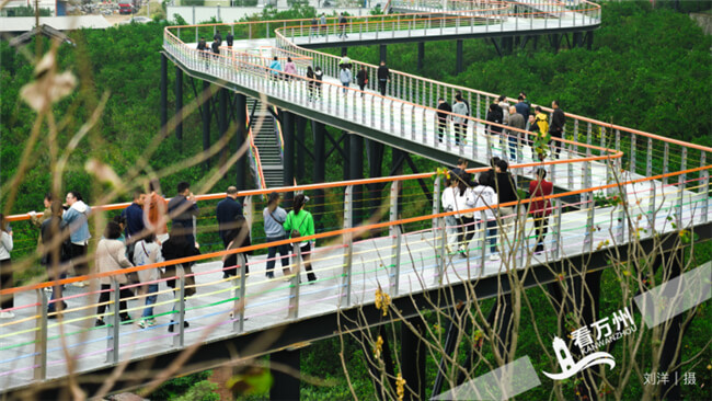 万州小桔灯生态文化旅游区：桔香四溢 心之归处