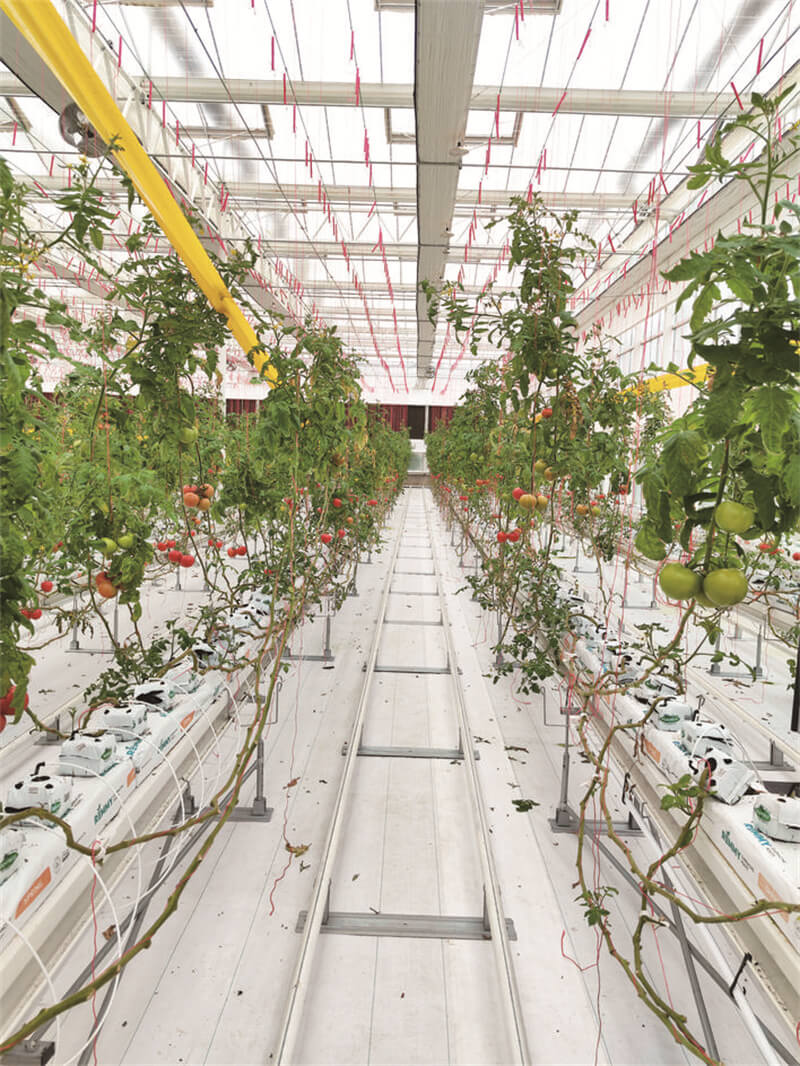 万州：“一块屏”玩转“数字农业”