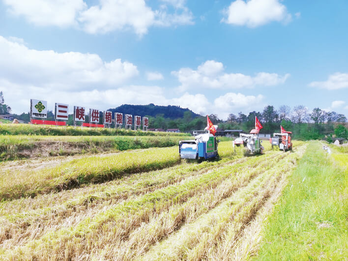 万州:打好稳进增效组合拳 夯实“三农”基本盘
