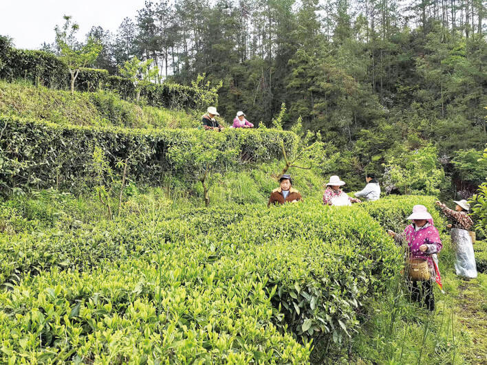 万州:端稳就业“饭碗” 让群众幸福满满