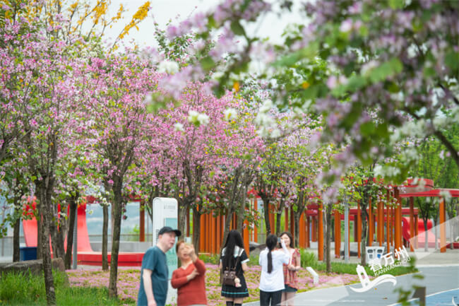 万州：“城市阳台”花满园