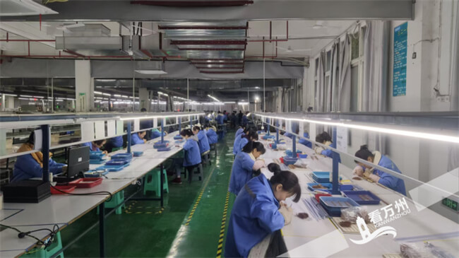 “万州造”网络滤波器扬帆出海