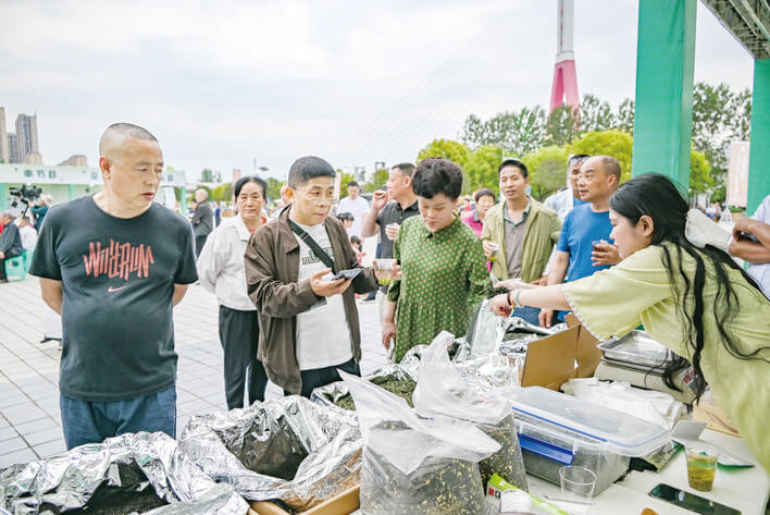 三峡茶香沁春光 川渝共绘茶韵长卷