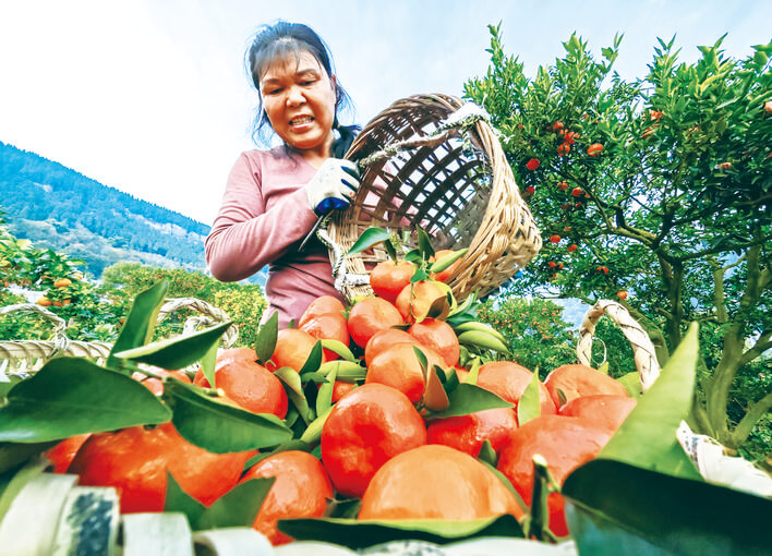 万州:“圆桌会议”进乡村 共商发展“新良方”