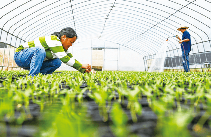 万州：深化改革攻坚 推动农业高质量发展