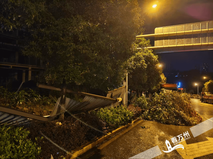 深夜,他们迎战12级大风!——直击万州龙都街道抢险救援第一线