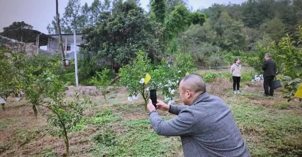  白羊镇“一村一主播”开营！30名村干部变身“新农人主播”